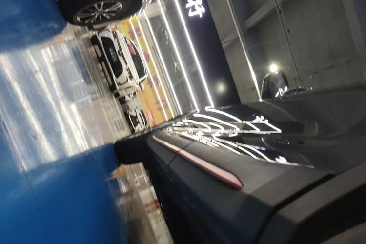 Used CHANGAN OSHAN X7 PLUS 2022 1.5T Blue Whale Edition Automatic ZhiZun Model Left Side Sill