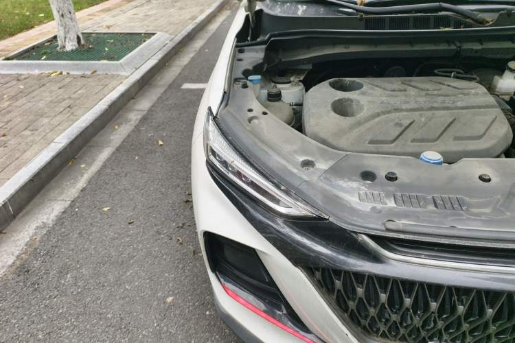 Used CHANGAN OSHAN X7 PLUS 2022 1.5T Blue Whale Edition Automatic Prestige Version Engine Bay Right