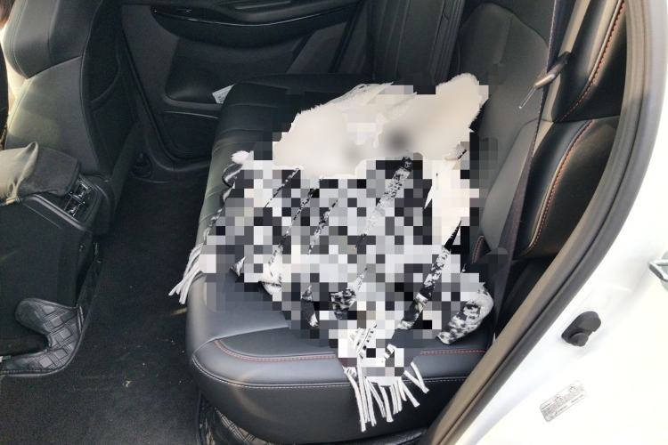 Used CHANGAN OSHAN X7 PLUS 2022 1.5T Blue Whale Edition Automatic Prestige Version Left Rear Seat