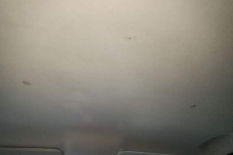 Used CHANGAN OSHAN X70A 2019 1.5L Manual Basic Version China VI Standard Headliner