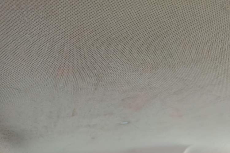 Used CHANGAN OSHAN X70A 2020 1.5L Manual Base Version Headliner