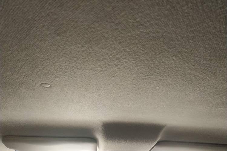 Used CHANGAN OSHAN X70A 2020 1.5L Manual Standard Edition Headliner