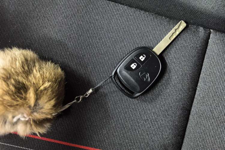 Used CHANGAN OSHAN X70A 2020 1.5L Manual Base Version Vehicle Key