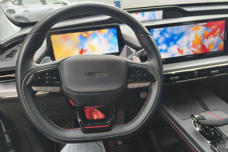 Used CHANGAN OSHAN Z6 2022 Blue Whale 1.5T DCT Smart Edition Steering Wheel