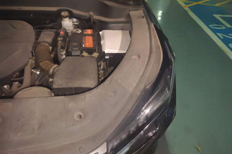 Used CHANGAN OSHAN Z6 2022 Blue Whale 1.5T DCT Luxury Model Engine Bay Left