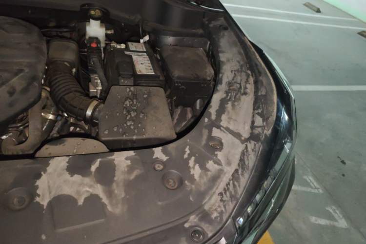 Used CHANGAN OSHAN Z6 2022 Blue Whale 1.5T DCT Smart Edition Engine Bay Left