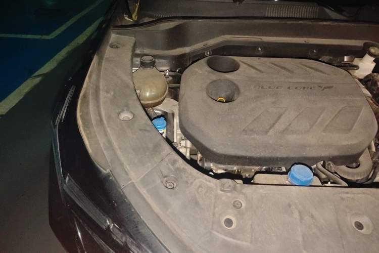Used CHANGAN OSHAN Z6 2022 Blue Whale 1.5T DCT Luxury Model Engine Bay Right