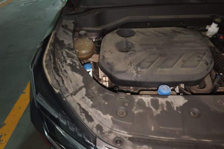 Used CHANGAN OSHAN Z6 2022 Blue Whale 1.5T DCT Smart Edition Engine Bay Right