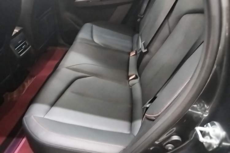 Used CHANGAN OSHAN Z6 2022 Blue Whale 1.5T DCT Smart Edition Left Rear Seat