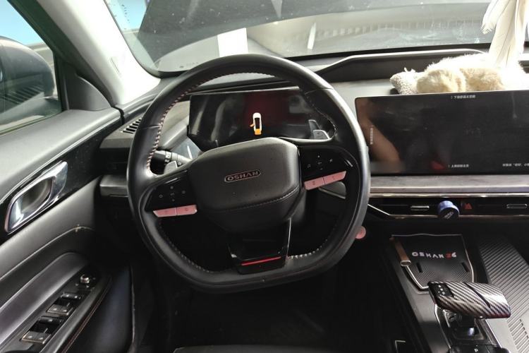 Used CHANGAN OSHAN Z6 2022 Blue Whale 1.5T DCT Smart Edition Steering Wheel