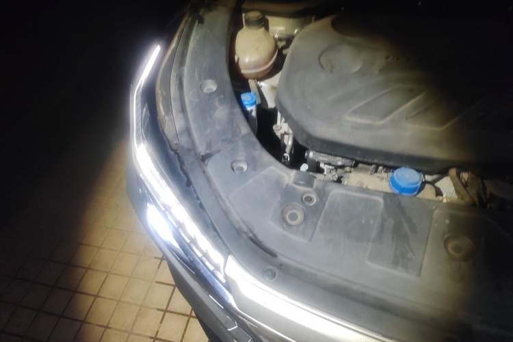 Used CHANGAN OSHAN Z6 2022 Blue Whale 1.5T DCT Smart Edition Urban Version Engine Bay Right