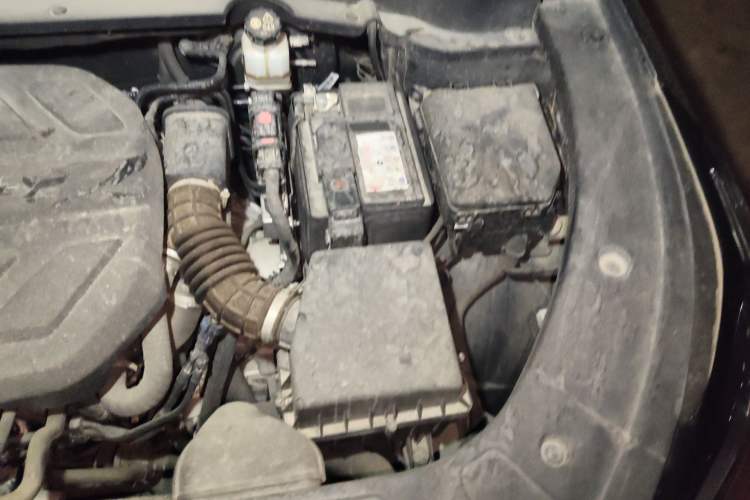 Used CHANGAN OSHAN Z6 2022 Blue Whale 1.5T DCT Smart Edition Urban Version Engine Bay Left