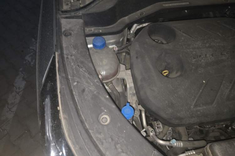 Used CHANGAN OSHAN Z6 2022 Blue Whale 1.5T DCT Smart Navigation Model Engine Bay Right