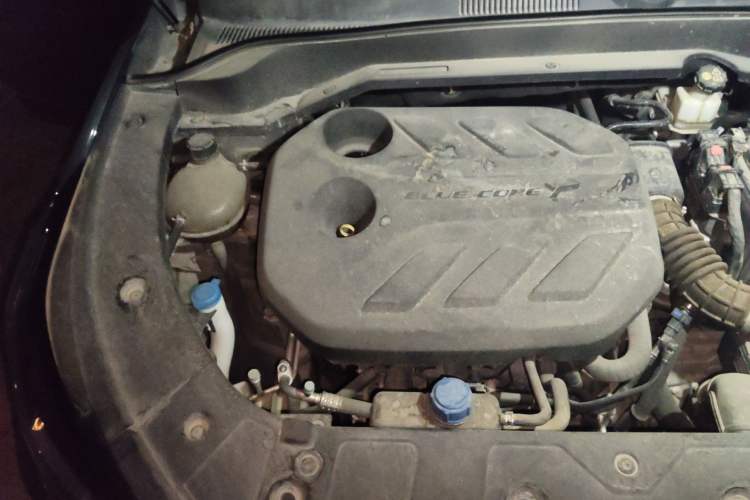 Used CHANGAN OSHAN Z6 2022 Blue Whale 1.5T DCT Smart Edition Urban Version Engine Bay Right
