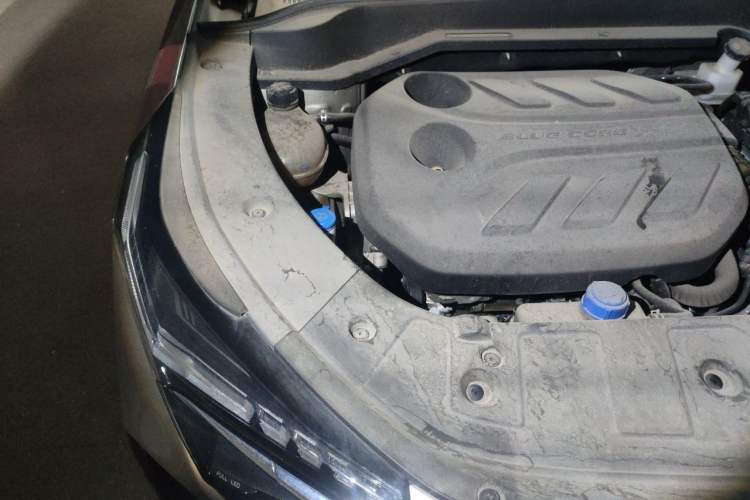 Used CHANGAN OSHAN Z6 2022 Blue Whale 1.5T DCT Smart Navigation Model Engine Bay Right