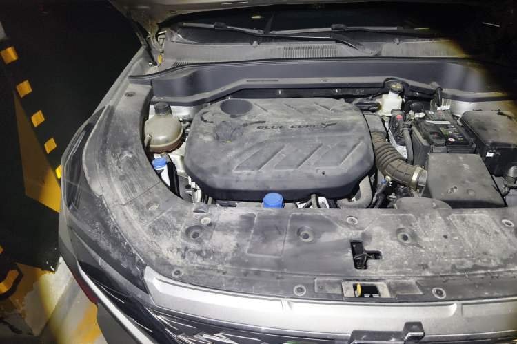 Used CHANGAN OSHAN Z6 2022 Blue Whale 1.5T DCT Luxury Model Engine Bay Right