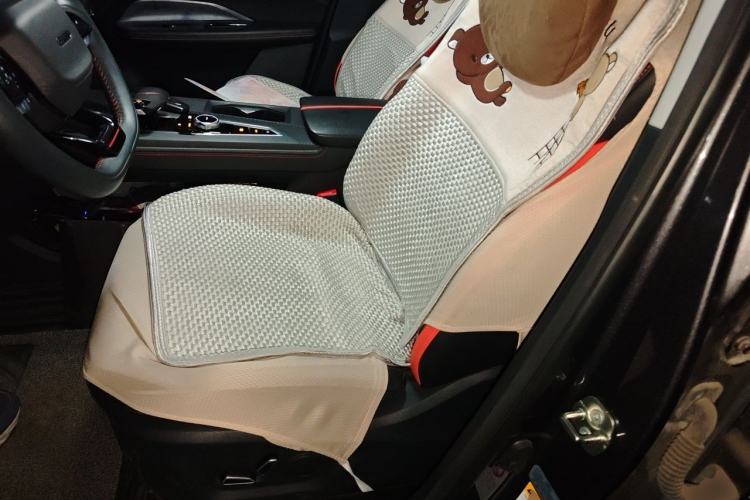 Used CHANGAN OSHAN Z6 2022 Blue Whale 1.5T DCT Smart Edition Left Front Seat