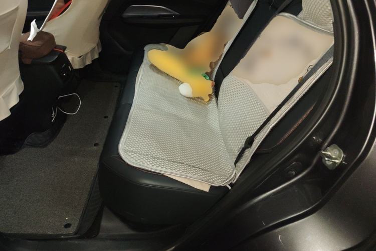 Used CHANGAN OSHAN Z6 2022 Blue Whale 1.5T DCT Smart Edition Left Rear Seat