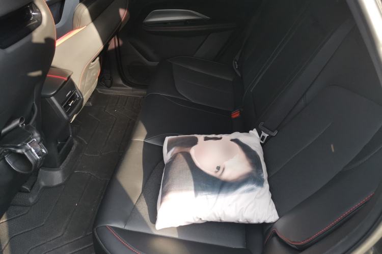 Used CHANGAN OSHAN Z6 2022 Blue Whale 1.5T DCT Smart Edition Left Rear Seat