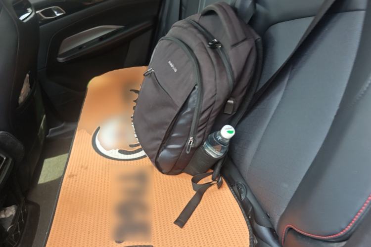 Used CHANGAN OSHAN Z6 2022 Blue Whale 1.5T DCT Smart Edition Left Rear Seat