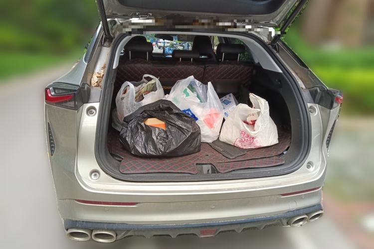 Used CHANGAN OSHAN Z6 2022 Blue Whale 1.5T DCT Smart Edition Trunk