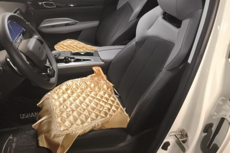 Used CHANGAN OSHAN Z6 2022 Blue Whale 1.5T DCT Luxury Model Left Front Seat