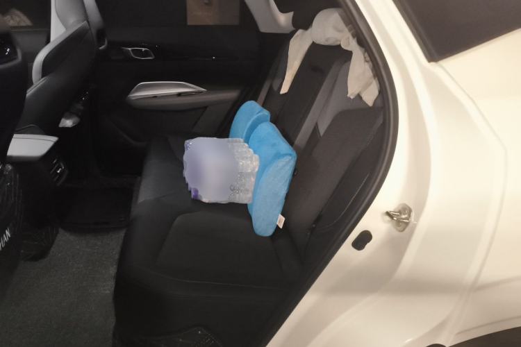 Used CHANGAN OSHAN Z6 2022 Blue Whale 1.5T DCT Luxury Model Left Rear Seat