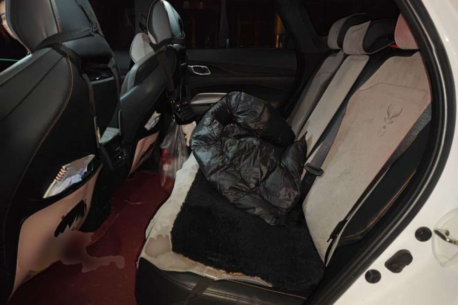 Used CHANGAN OSHAN Z6 2022 Blue Whale 1.5T DCT Smart Edition Urban Version Left Rear Seat