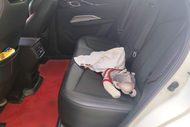 Used CHANGAN OSHAN Z6 2022 Blue Whale 1.5T DCT Luxury Model Left Rear Seat