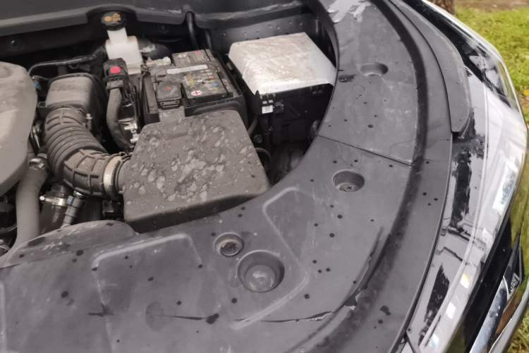 Used CHANGAN OSHAN Z6 2023 Blue Whale 1.5T DCT Smart Luxury Model Engine Bay Left