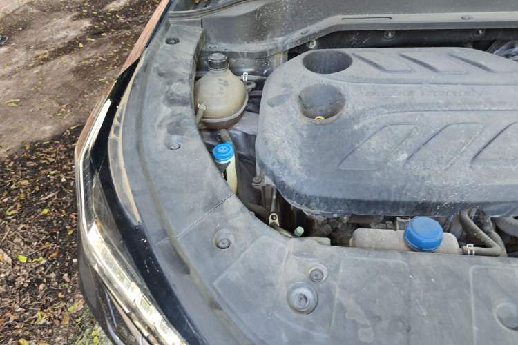 Used CHANGAN OSHAN Z6 2023 Blue Whale 1.5T DCT Smart-Led City Edition Engine Bay Right