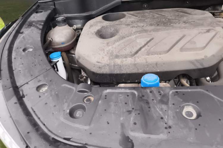 Used CHANGAN OSHAN Z6 2023 Blue Whale 1.5T DCT Smart Luxury Model Engine Bay Right