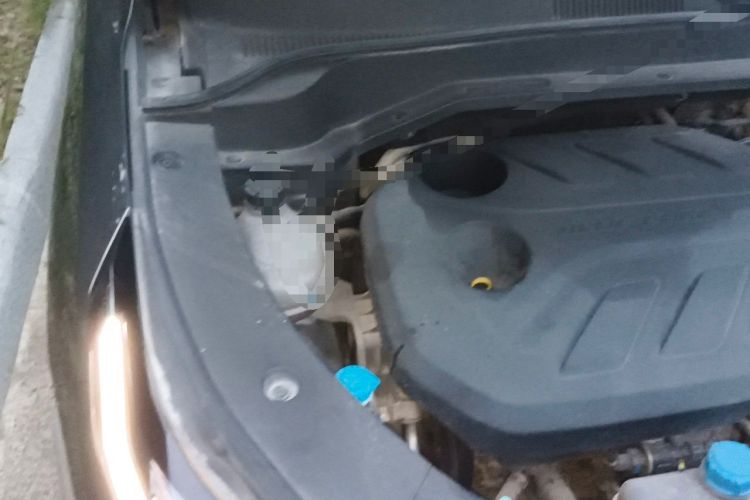 Used CHANGAN OSHAN Z6 2023 Blue Whale 1.5T DCT Smart Edition Engine Bay Right