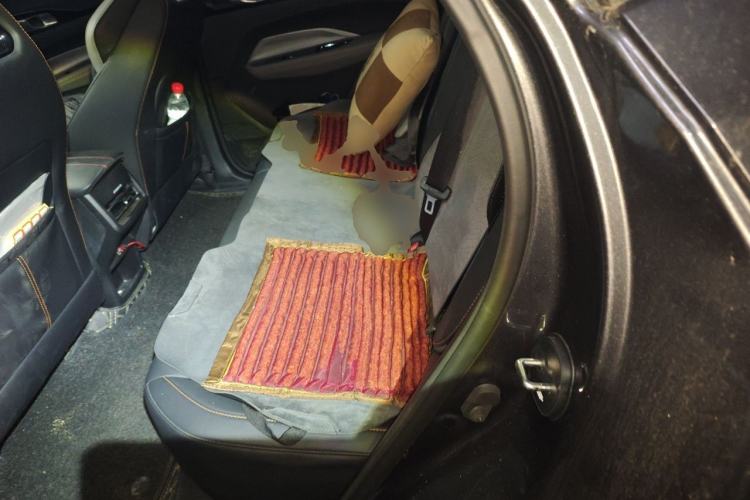 Used CHANGAN OSHAN Z6 2023 Blue Whale 1.5T DCT Luxury Model Left Rear Seat