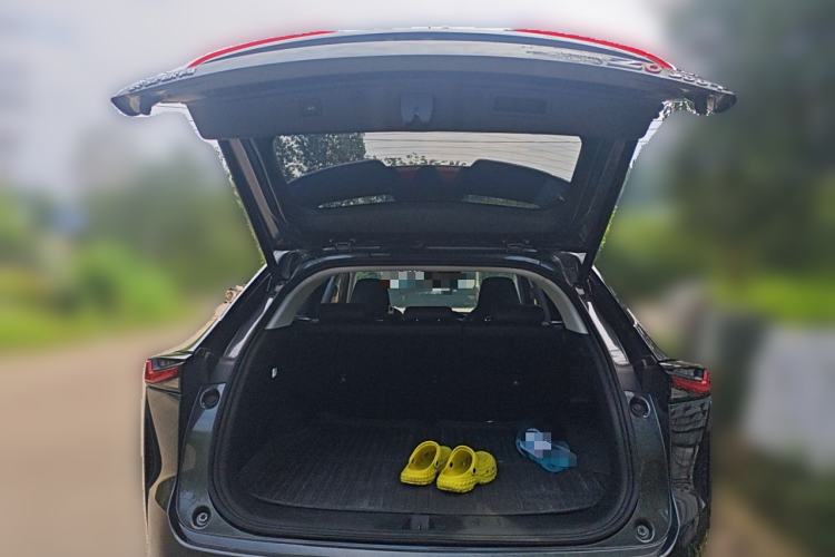 Used CHANGAN OSHAN Z6 2023 Blue Whale 1.5T DCT Smart Edition Trunk