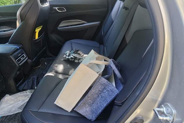 Used CHANGAN OSHAN Z6 2023 Blue Whale 1.5T DCT Smart-Led City Edition Left Rear Seat