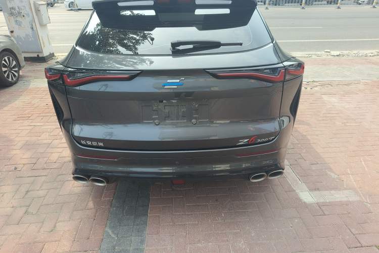 Used CHANGAN OSHAN Z6 2023 Blue Whale 1.5T DCT Smart Luxury Model Rear