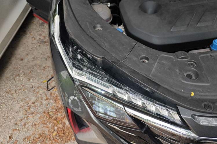 Used CHANGAN OSHAN Z6 2023 Blue Whale 1.5T DCT Smart Edition Right Front Headlight