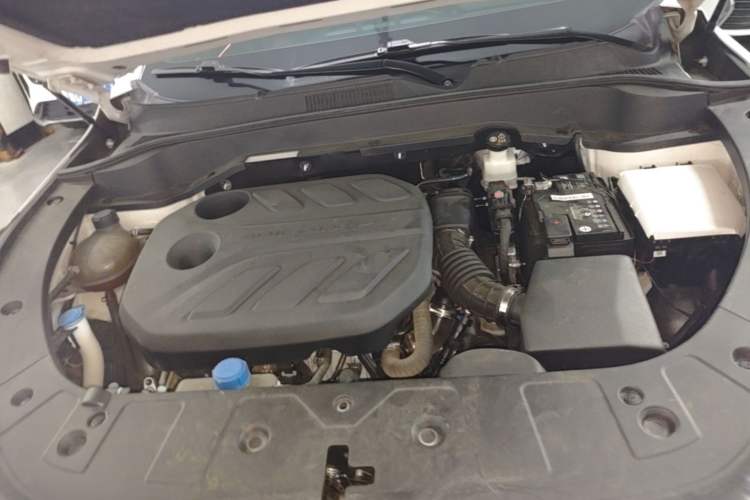 Used CHANGAN OSHAN Z6 2023 Blue Whale 1.5T DCT Smart Luxury Model Engine Bay