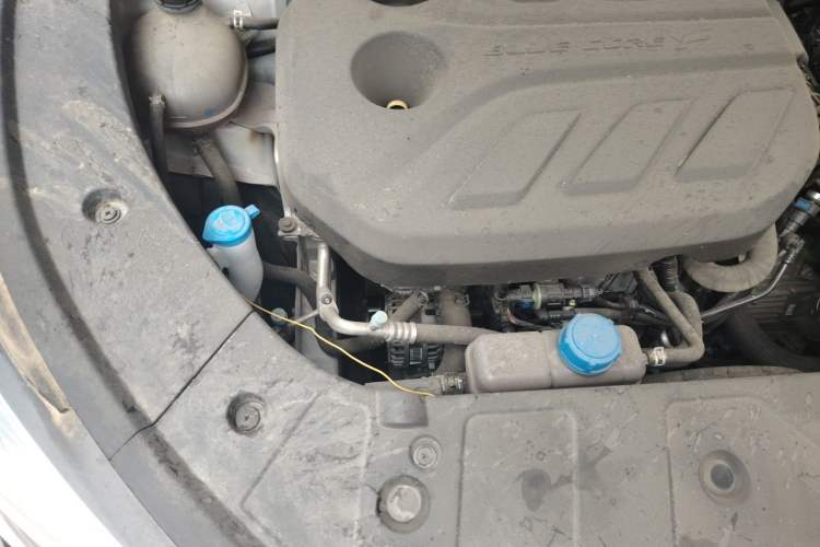 Used CHANGAN OSHAN Z6 2023 Blue Whale 1.5T DCT Smart Luxury Model Engine Bay Right