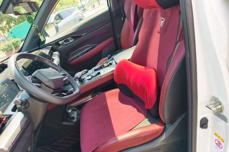Used CHANGAN OSHAN Z6 2023 Blue Whale 1.5T DCT Smart Luxury Model Left Front Seat
