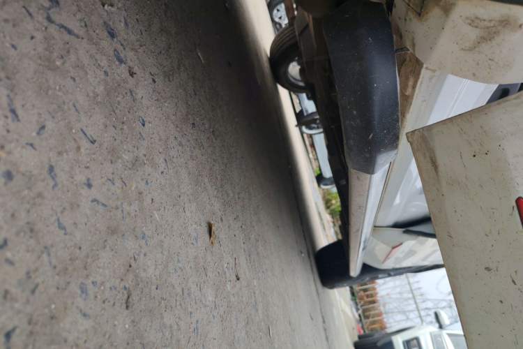 Used CHANGAN OSHAN Z6 2023 Blue Whale 1.5T DCT Smart Edition Left Side Sill