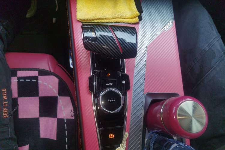 Used CHANGAN OSHAN Z6 New Energy 2022 Blue Whale iDD 150KM Flagship PLUS Smart Parking Edition Gear Lever