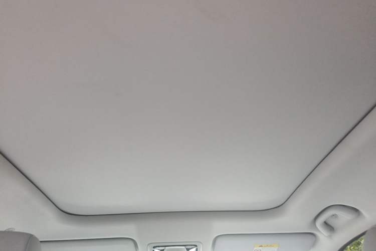 Used CHANGAN OSHAN Z6 New Energy 2022 Blue Whale iDD 150KM Flagship PLUS Headliner