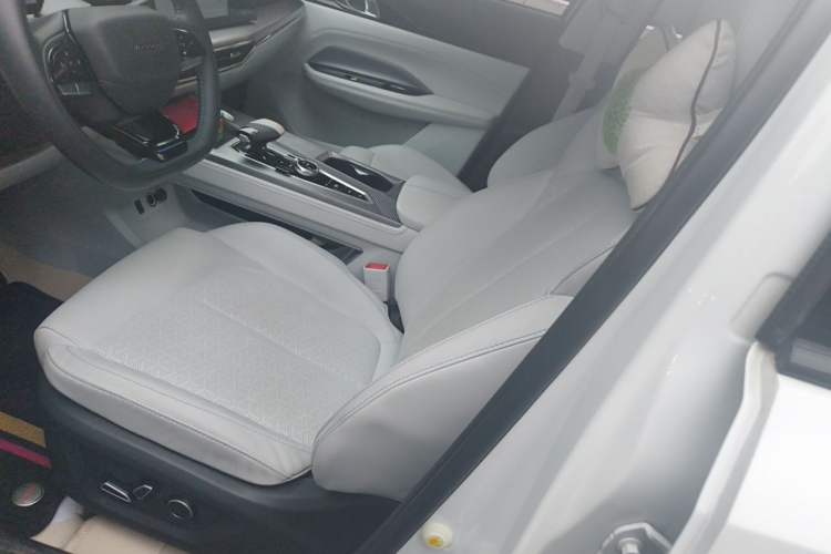 Used CHANGAN OSHAN Z6 New Energy 2022 Blue Whale iDD 150KM Flagship PLUS Left Front Seat