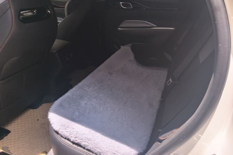 Used CHANGAN OSHAN Z6 New Energy 2022 Blue Whale iDD 150KM Flagship PLUS Left Rear Seat