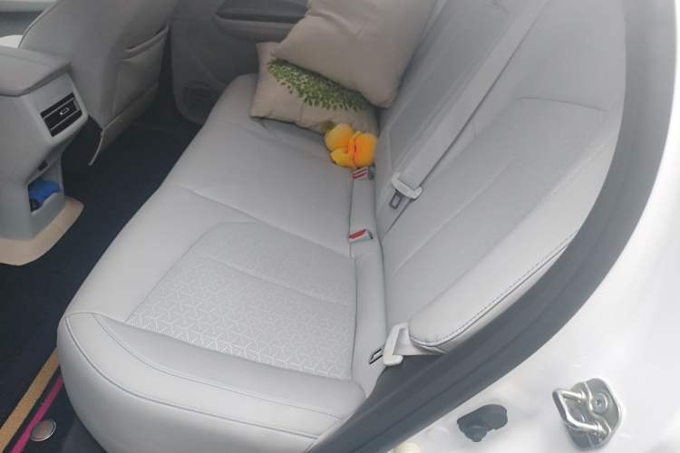 Used CHANGAN OSHAN Z6 New Energy 2022 Blue Whale iDD 150KM Flagship PLUS Left Rear Seat