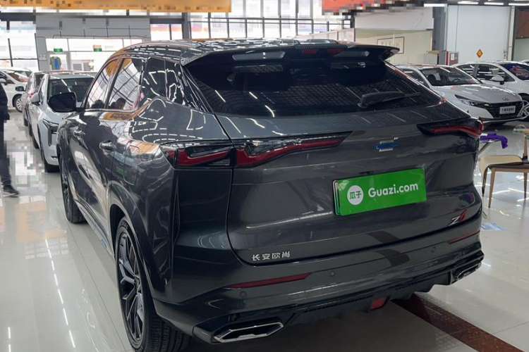 Used CHANGAN OSHAN Z6 New Energy 2023 ZhiDian iDD 150KM Flagship PLUS Smart Parking Edition Exterior 5