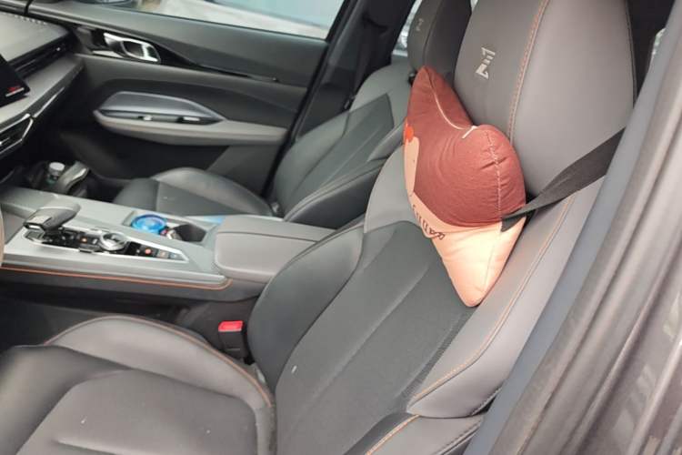 Used CHANGAN OSHAN Z6 New Energy 2023 ZhiDian iDD 150KM Flagship Model Left Front Seat