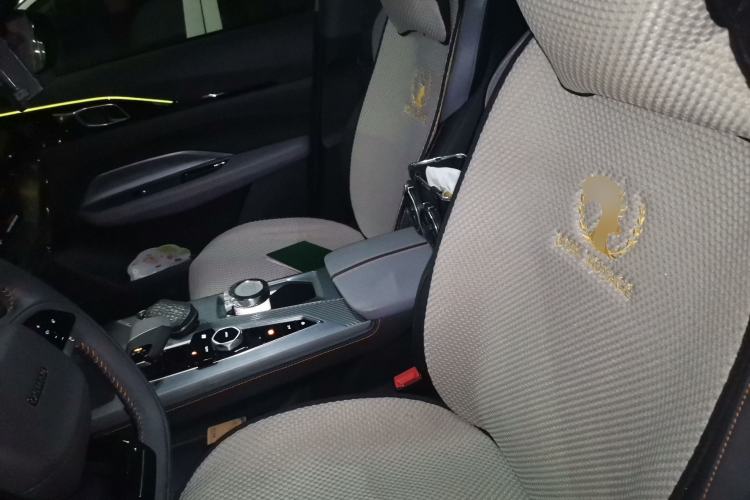 Used CHANGAN OSHAN Z6 New Energy 2023 ZhiDian iDD 150KM Flagship PLUS Left Front Seat